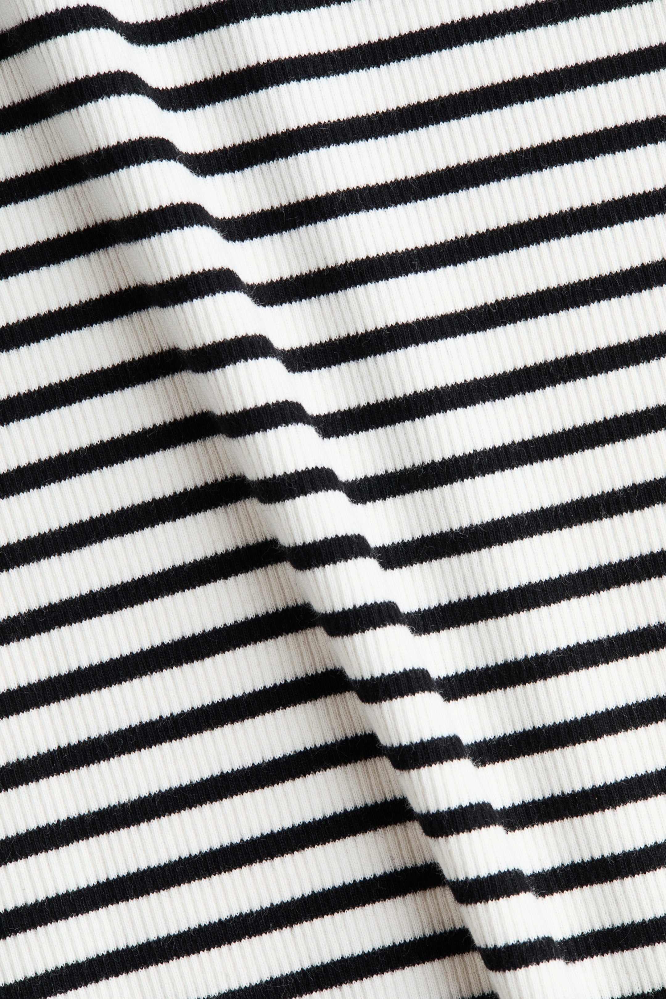 Premium Cotton T-Shirt