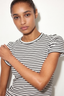 Premium Cotton T-Shirt